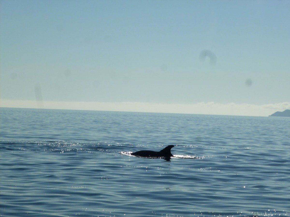 Imagen de Ambiente marino
